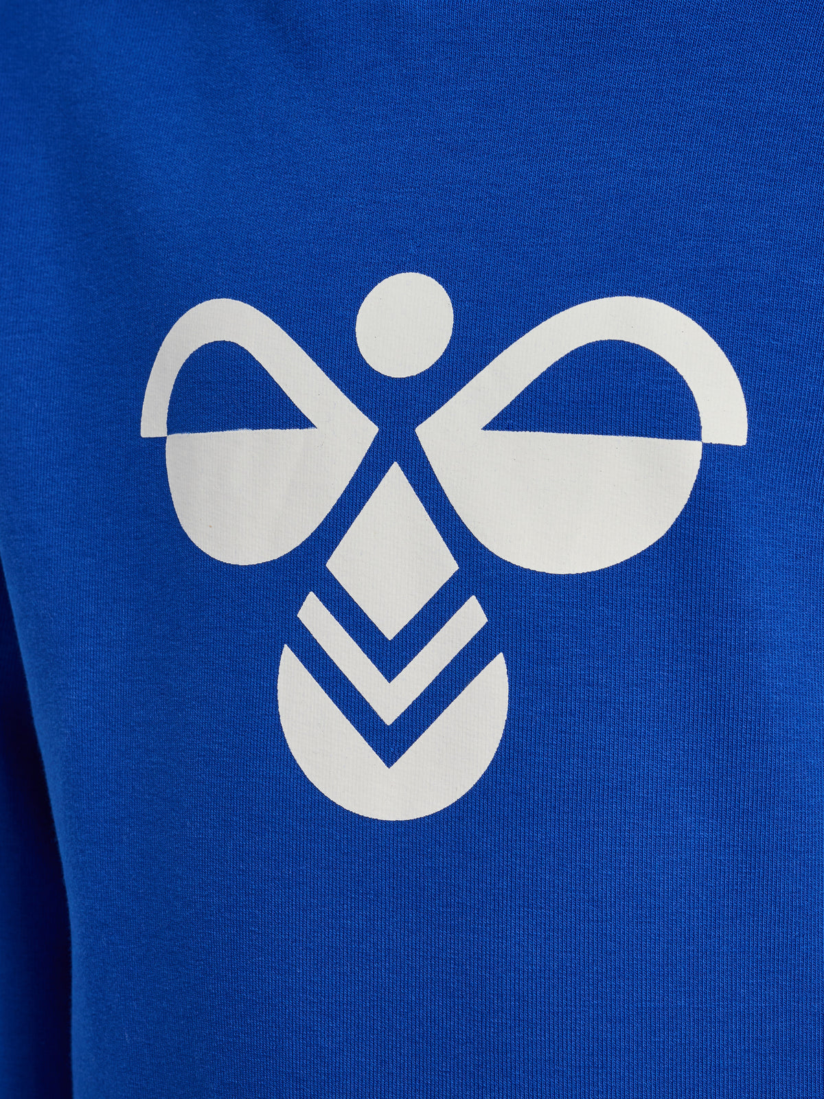 HUMMEL Reg Tukas Hoodie Kind (surf the web)