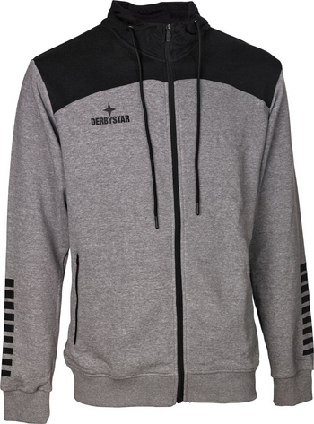 DERBYSTAR Kapuzen-Sweatjacke Ultimo v23 Unisex Grau