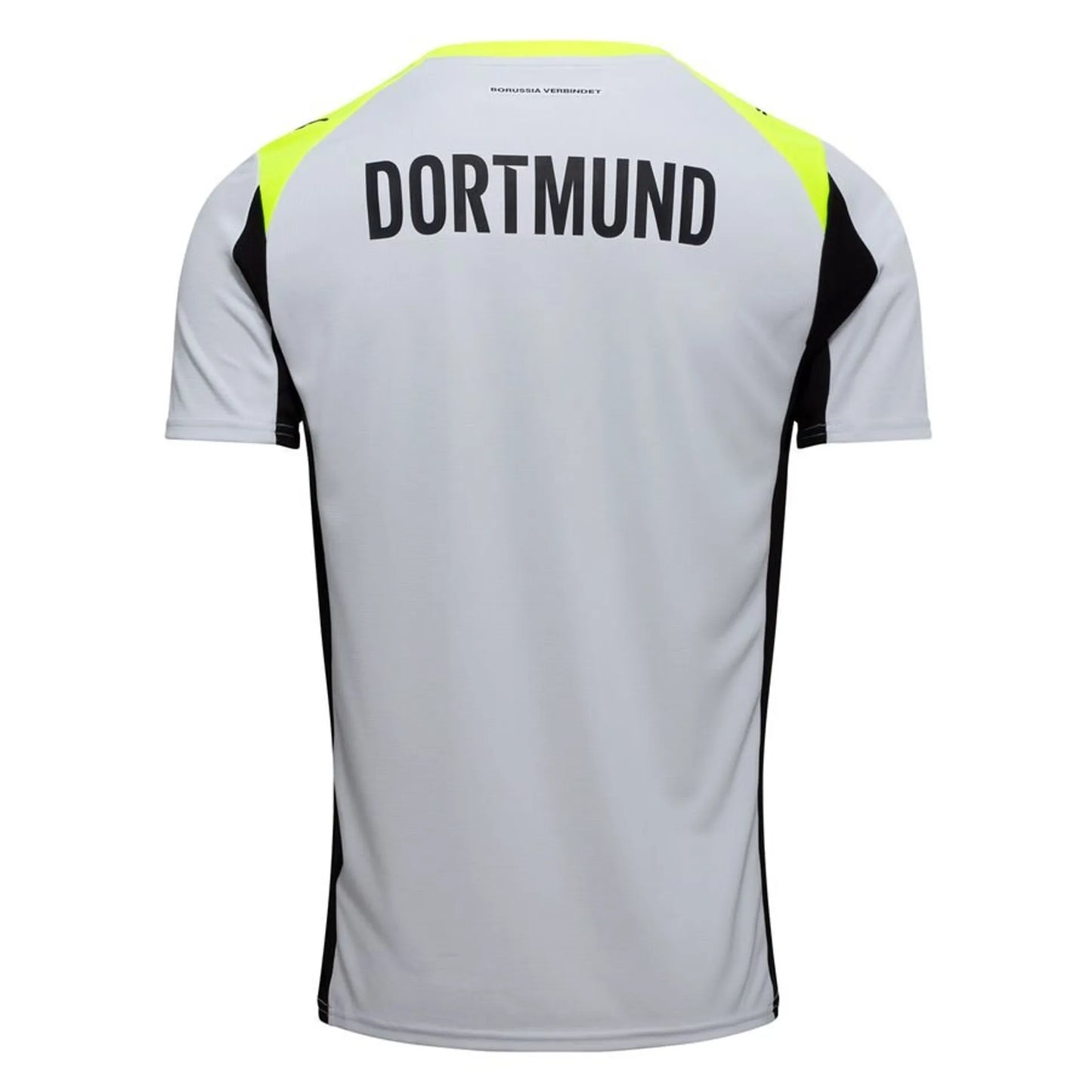 Puma Borussia Dortmund 26 Away Herren Grau