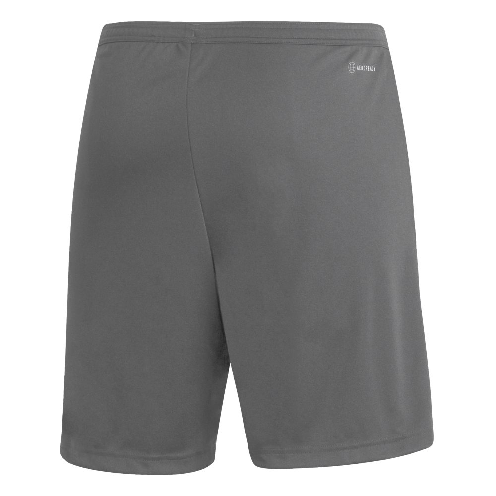 ADIDAS Entrada 22 Shorts Herren (team grey four) - Back Center View