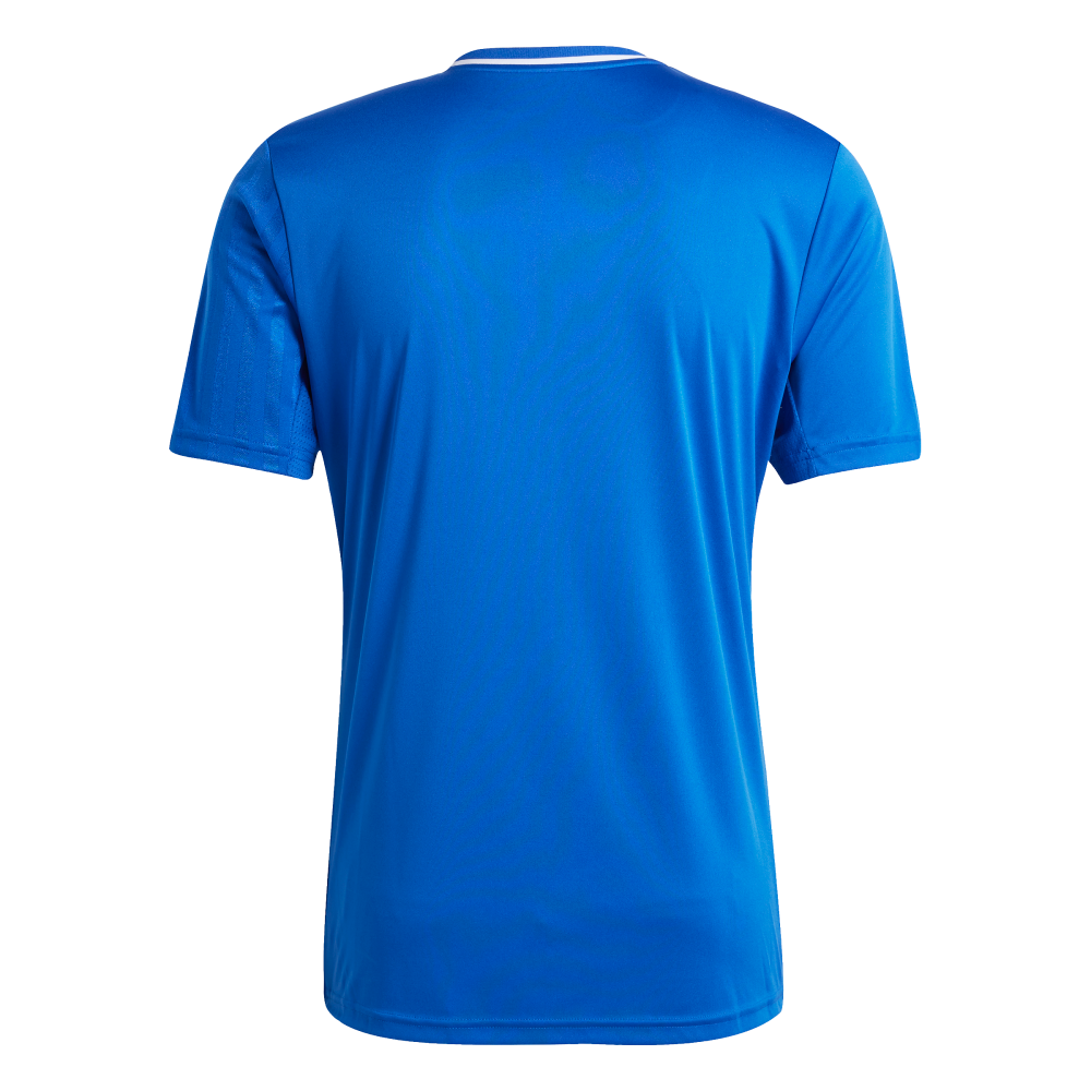 ADIDAS Campeon 25 Trikot Herren (team royal blue/white) - Back Center View