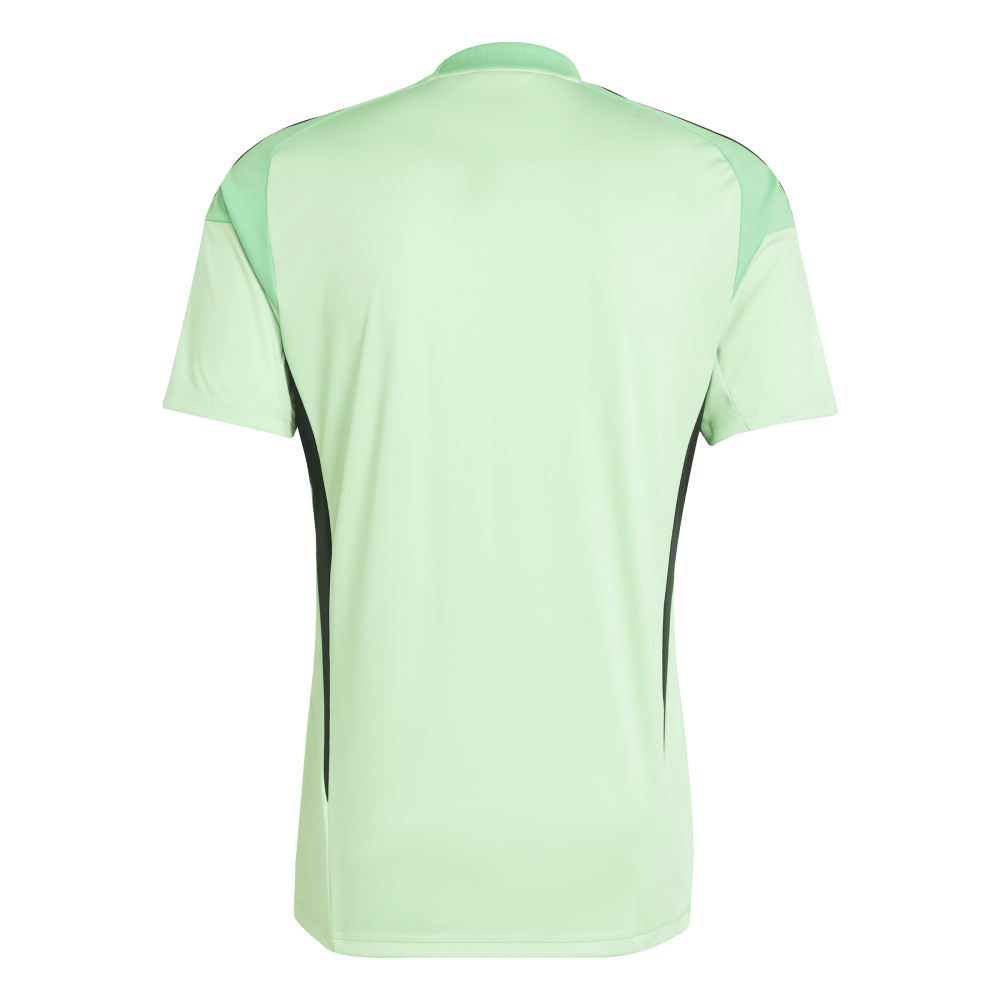 ADIDAS Tiro 25 Competition Torwarttrikot Herren (glory mint) - Back Center View