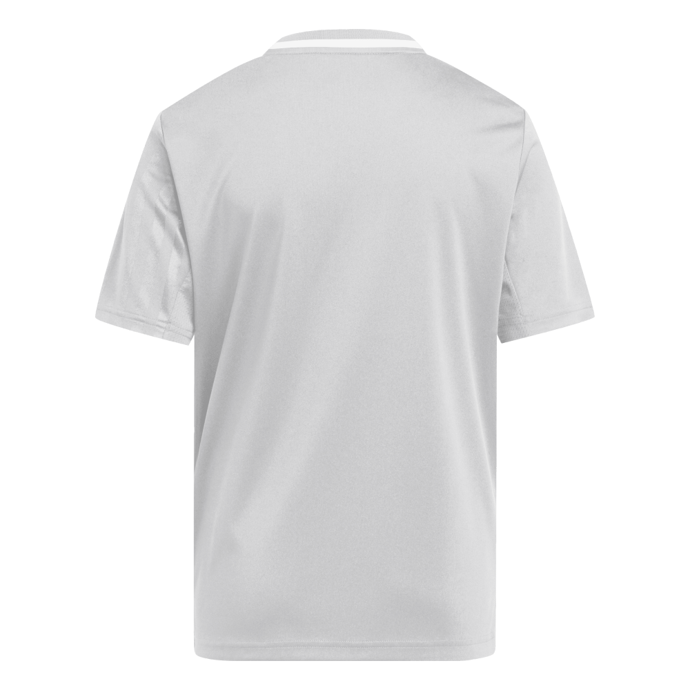 ADIDAS Campeon 25 Kids Trikot (team light grey/white) - Back Center View