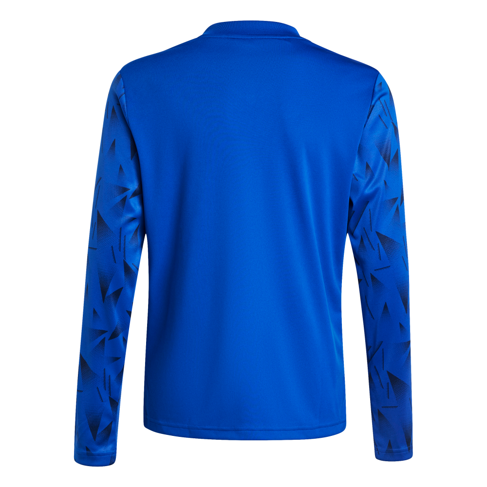 ADIDAS Kinder Team Icon 25 Langarmtrikot (team royal blue/white) - Back Center View