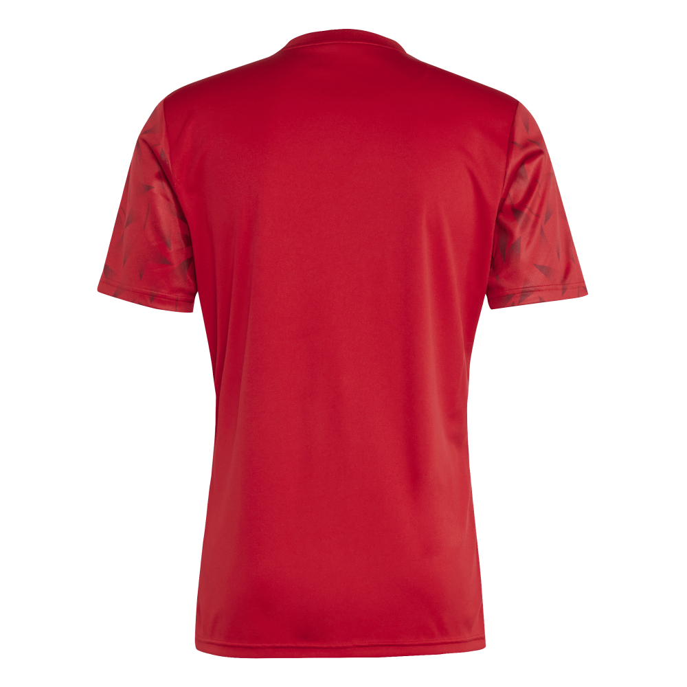 ADIDAS Team Icon 25 Trikot Herren (team power red 2/white) - Back Center View