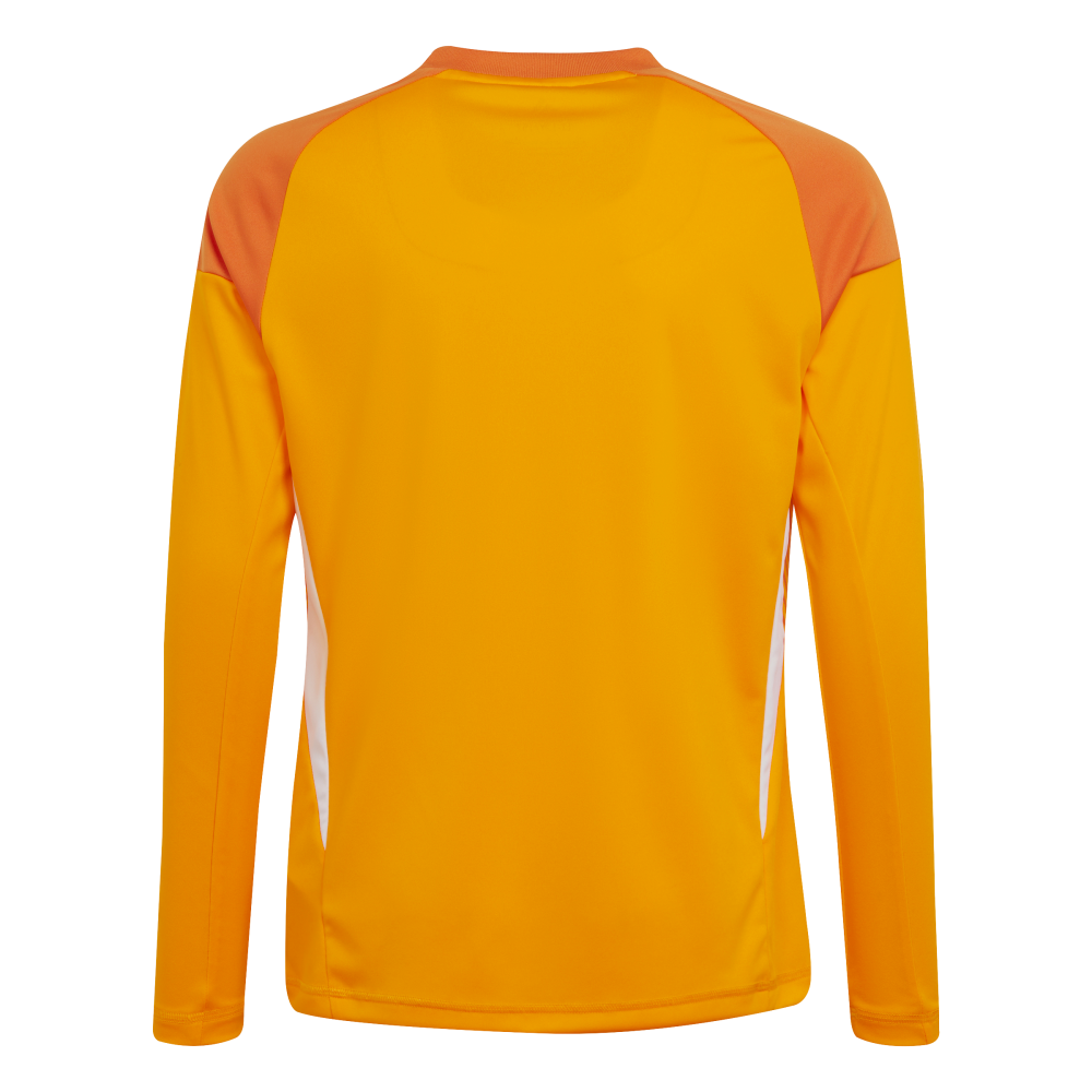 ADIDAS Tiro 25 Competition Kids Long Sleeve Torwarttrikot (crew orange) - Back Center View