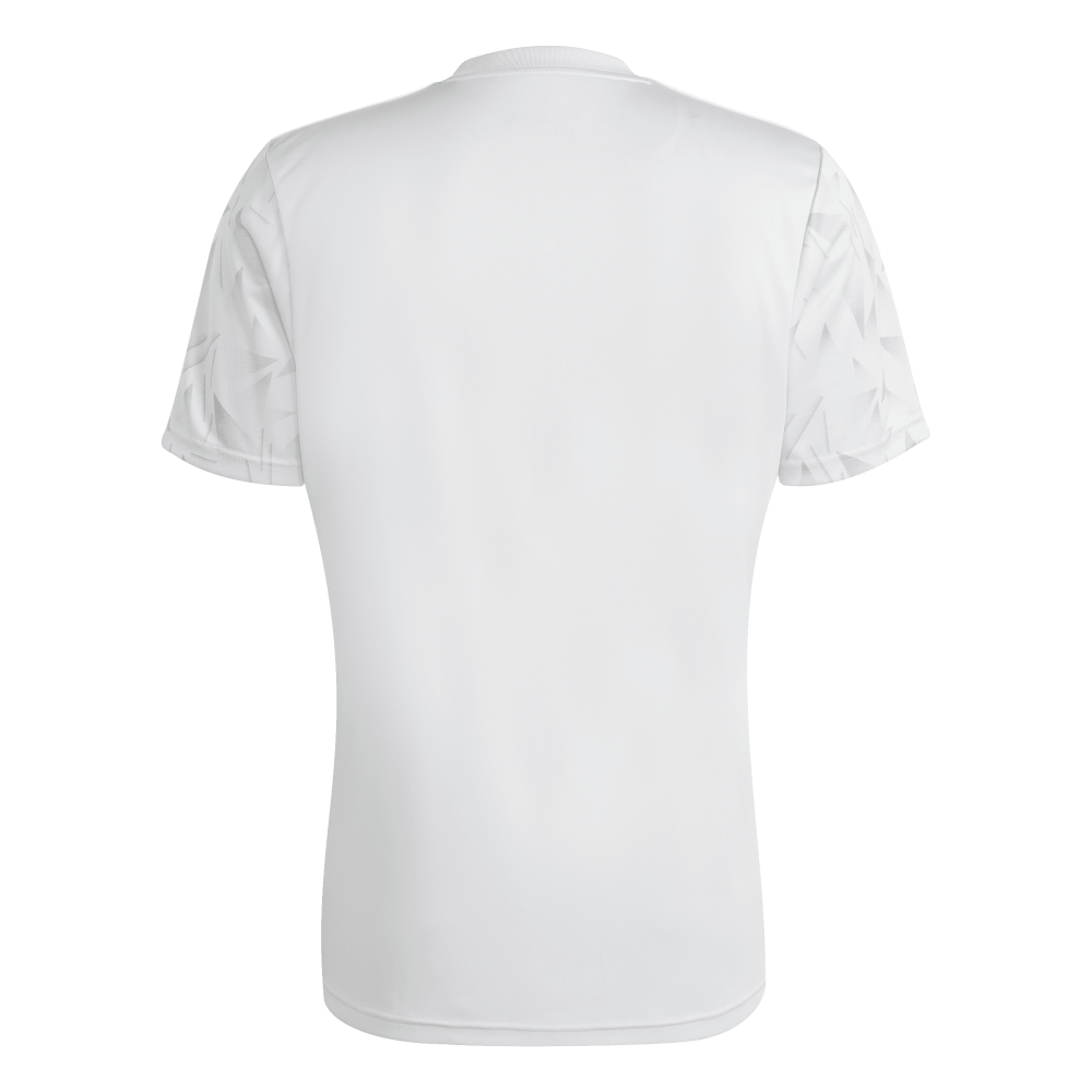 ADIDAS Team Icon 25 Trikot Herren (team light grey/white) - Back Center View