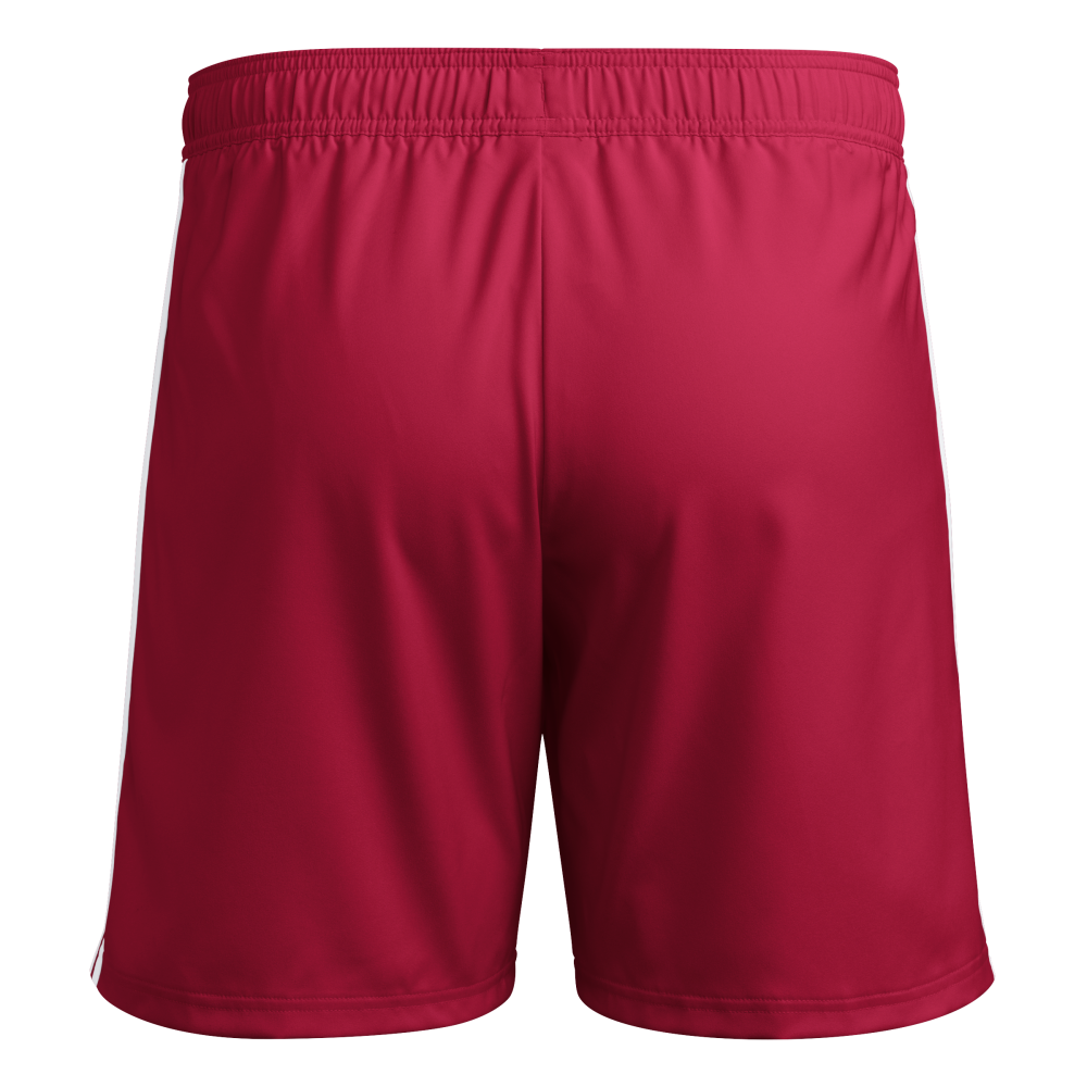 ADIDAS Tastigo 25 Shorts Herren (team power red 2) - Back Center View