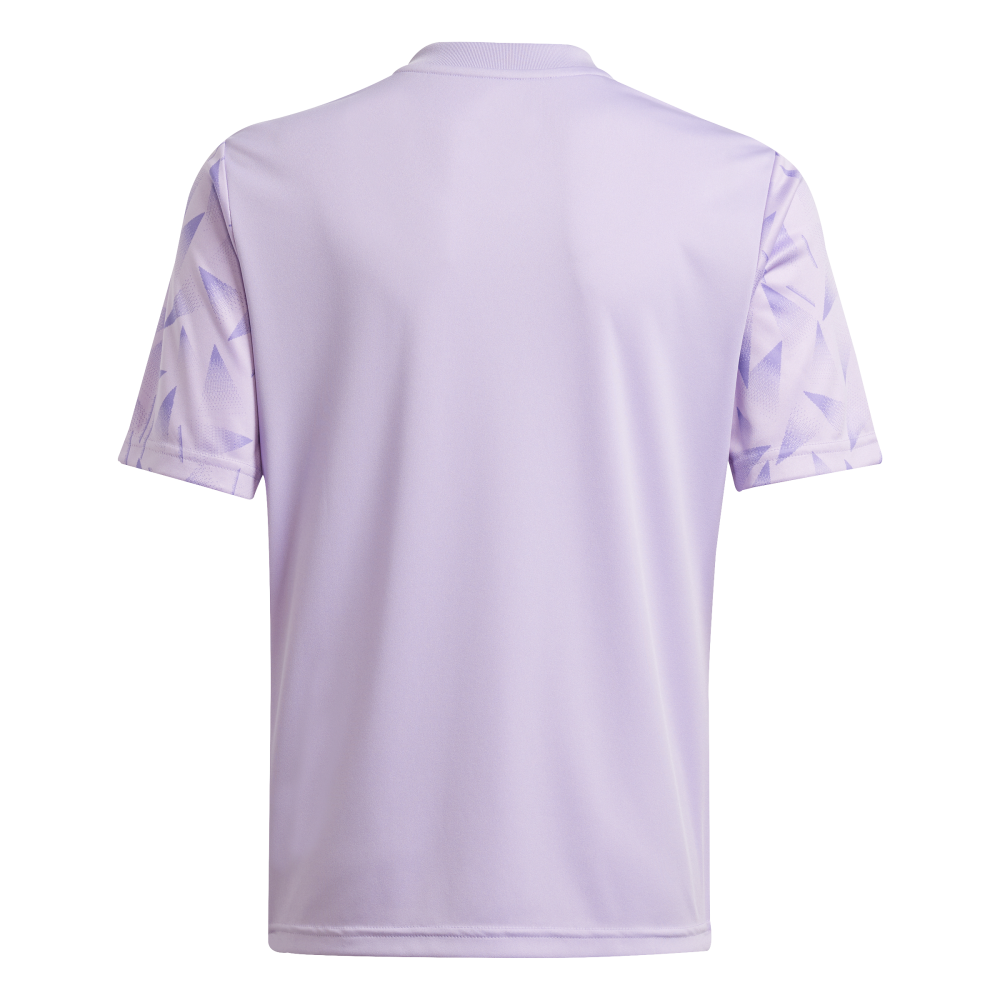 ADIDAS Team Icon 25 Kids Trikot (purple glow/white) - Back Center View