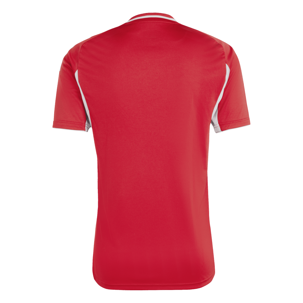 ADIDAS Tiro 25 Competition Match Trikot Herren (team power red 2/team light grey) - Back Center View