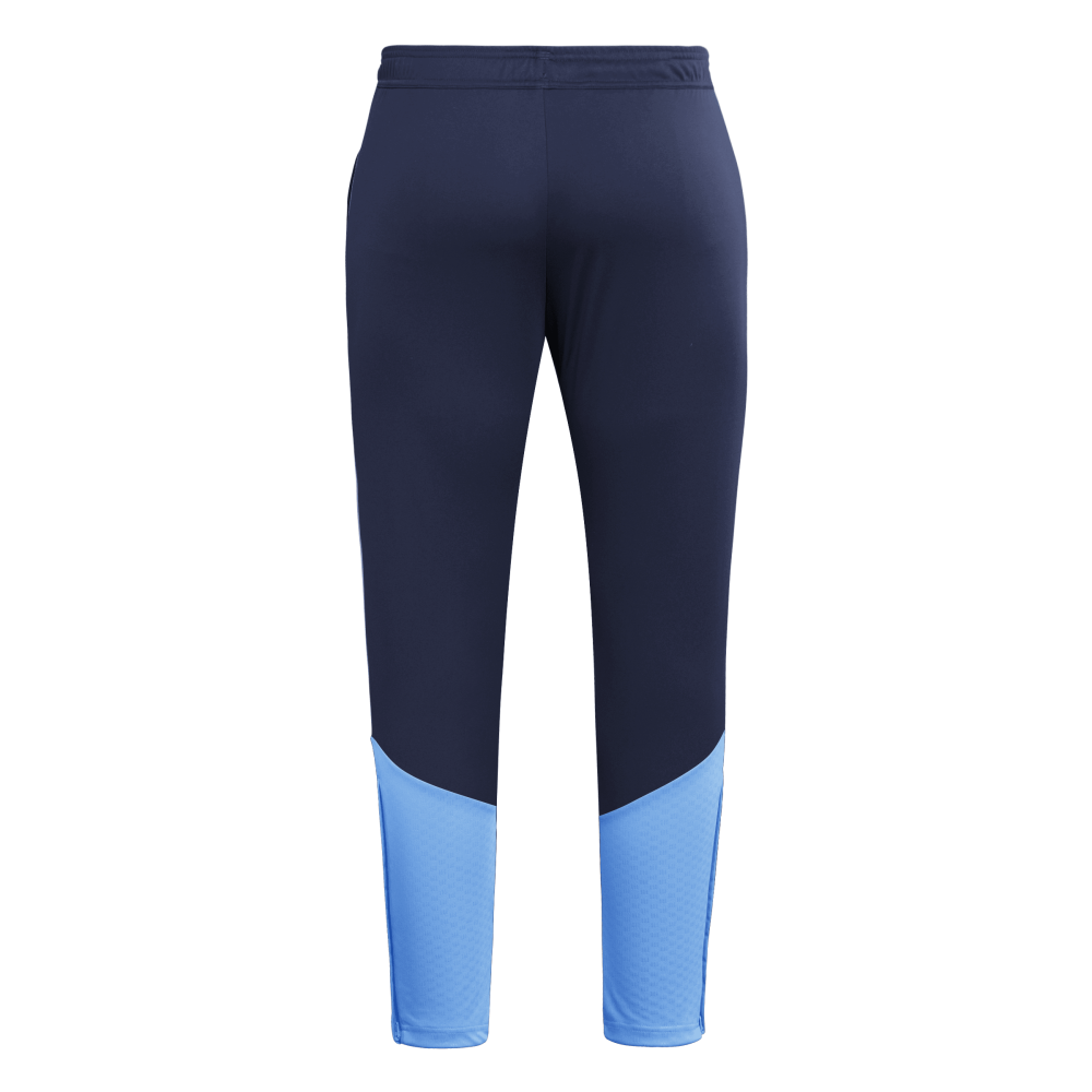 ADIDAS Tiro 26 Competition Trainingshose Herren (team navy blue 2/ray blue) - Back Center View