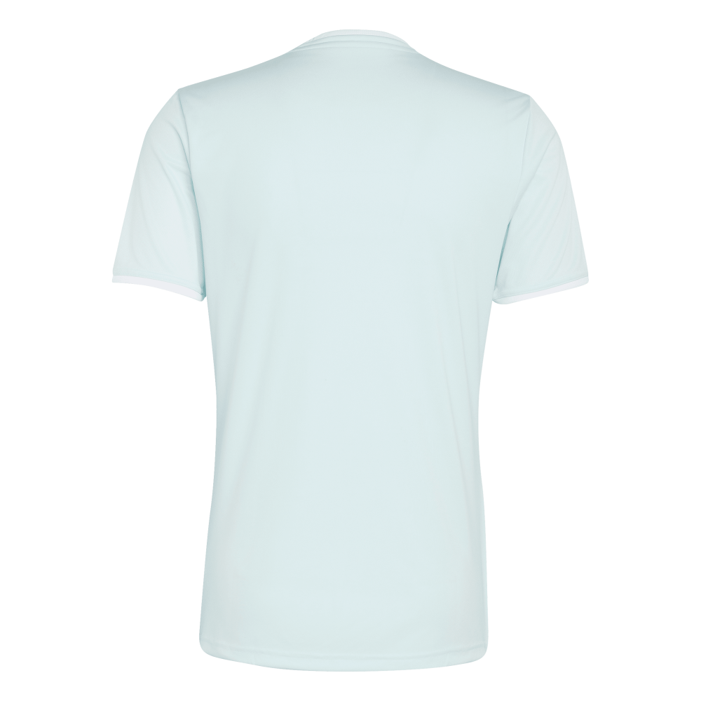 ADIDAS Entrada26 Trikot Herren (halo mint/white) - Back Center View