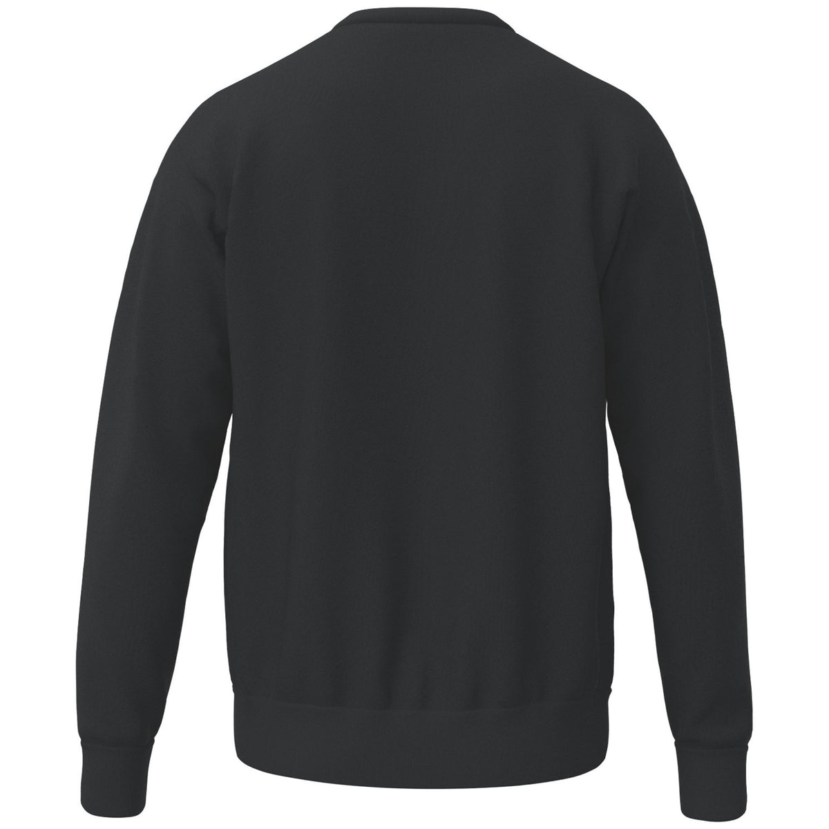 ERIMA TS Sweatshirt (schwarz)