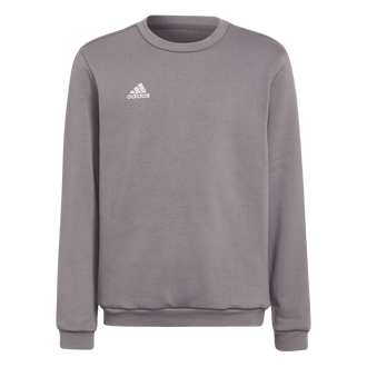 ADIDAS Entrada 22 Sweatshirt Kind (team grey four) - Front View