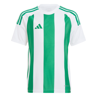 ADIDAS Striped 24 Kids Trikot (white/team green) - Front Center View