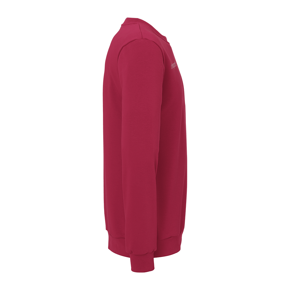 uhlsport Sweatshirt Kind (bordeaux)