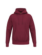 ERIMA TS Hoody Kinder Rot