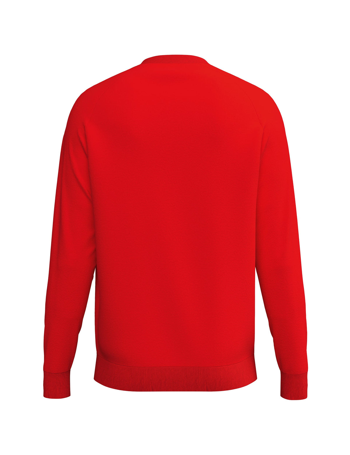 ERIMA CMPT Wings Sweatshirt (rot)