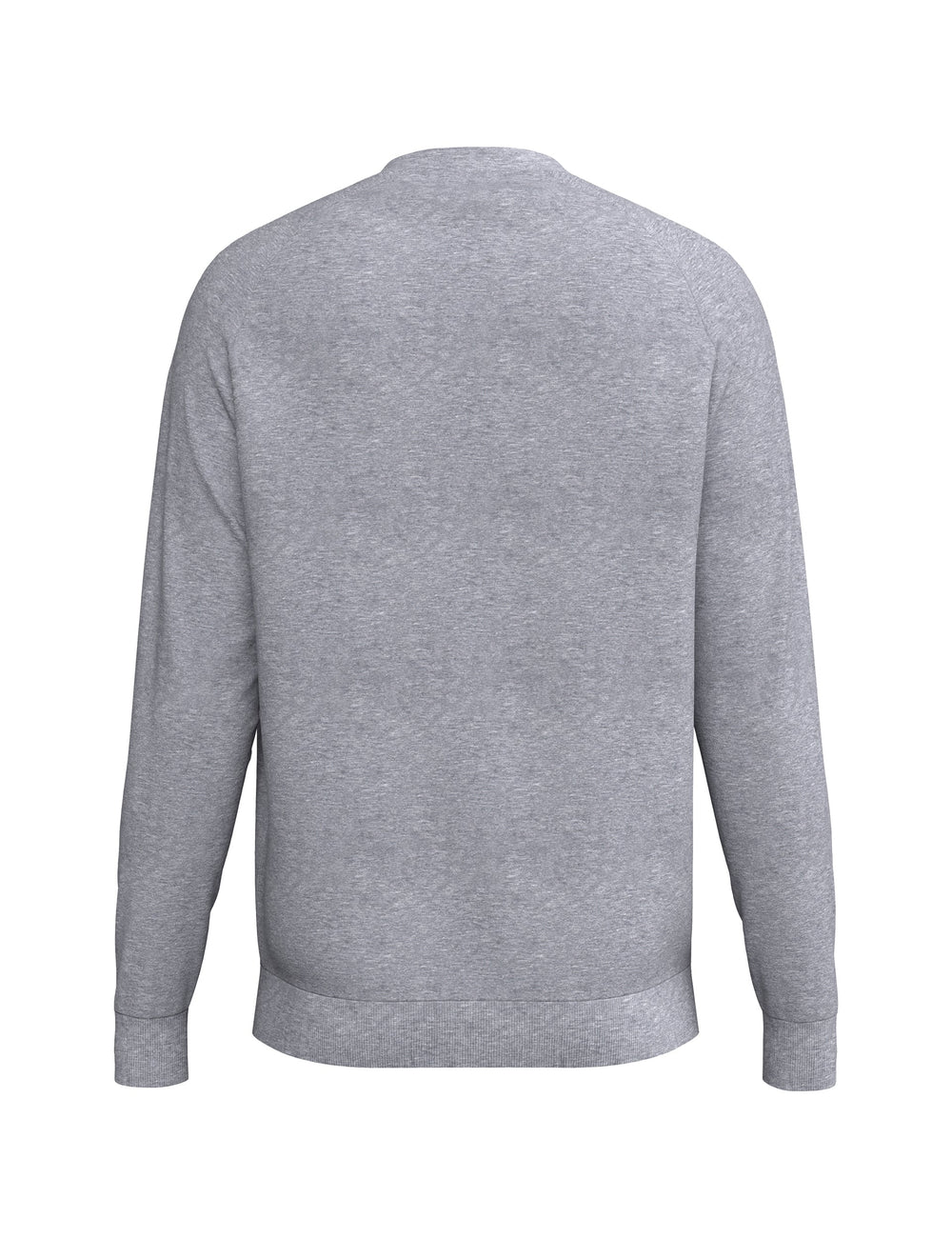 ERIMA CMPT Wings Sweatshirt (grau melange)