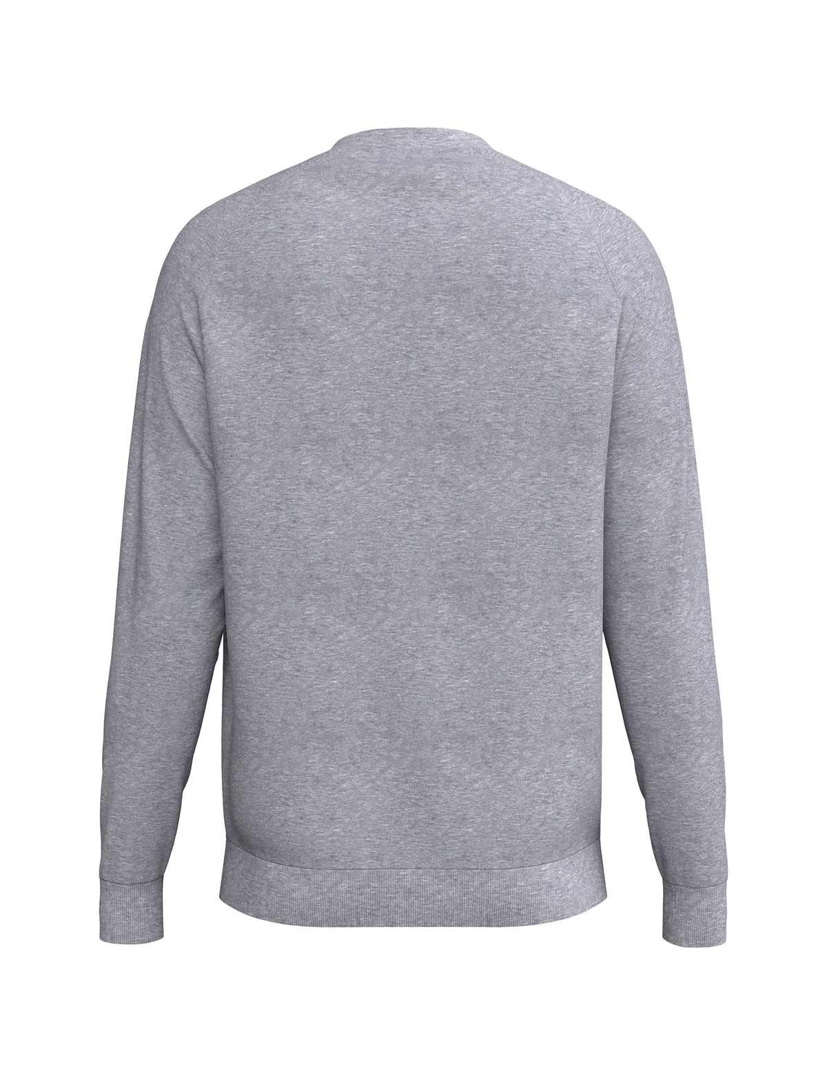 ERIMA CMPT Wings Sweatshirt (grau melange)