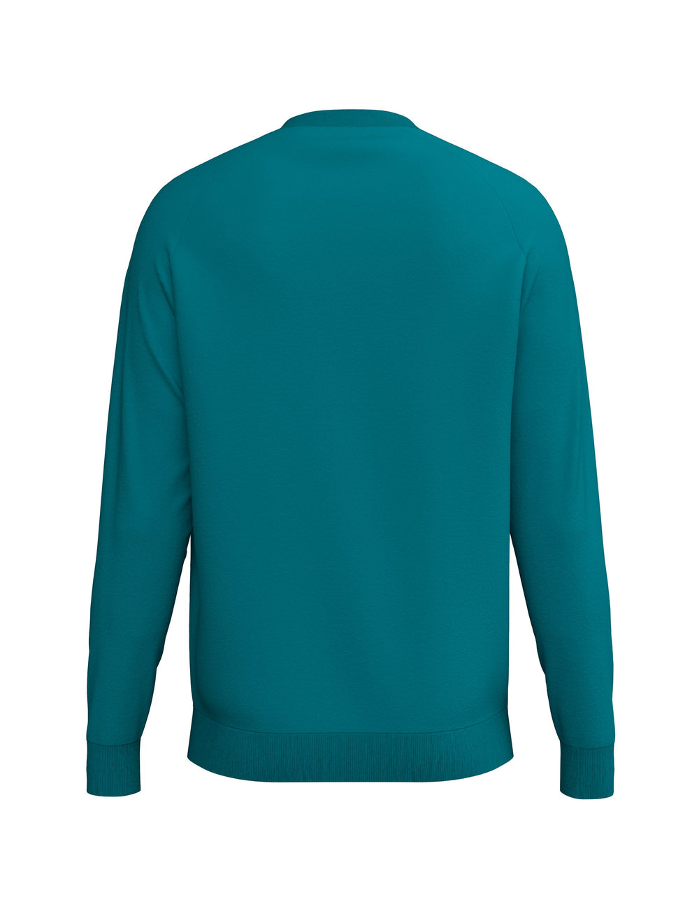 ERIMA CMPT Wings Sweatshirt (tahitian blue)