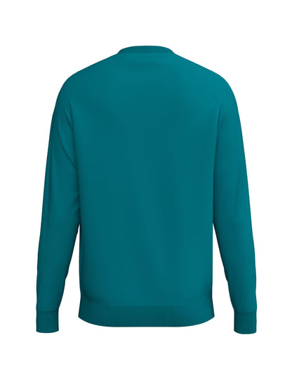 ERIMA CMPT Wings Sweatshirt (tahitian blue)