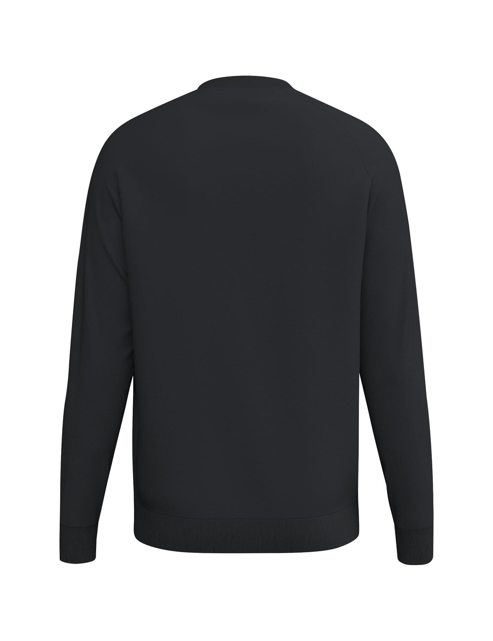 ERIMA CMPT Wings Sweatshirt (schwarz)