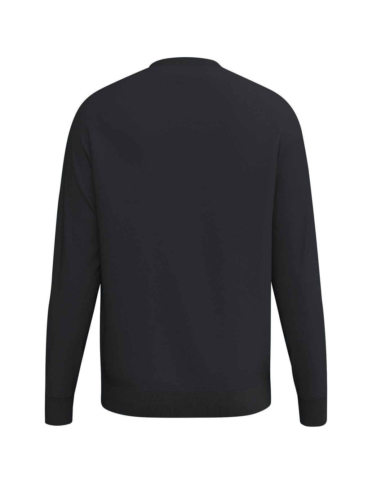 ERIMA CMPT Wings Sweatshirt (schwarz)