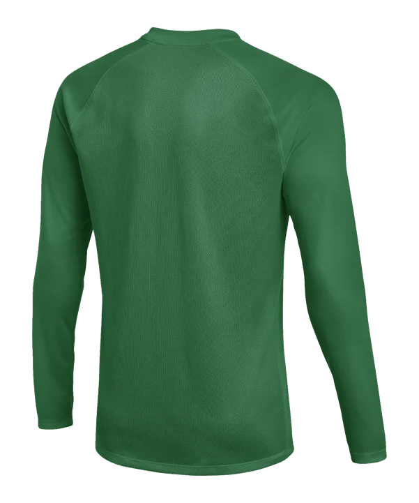 Nike Jersey Striker Langarm Herren Grün