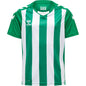 HUMMEL Core Xk Striped Jersey S/S Unisex Kind Grün