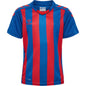 HUMMEL Core Xk Striped Jersey S/S Unisex Kind Blau