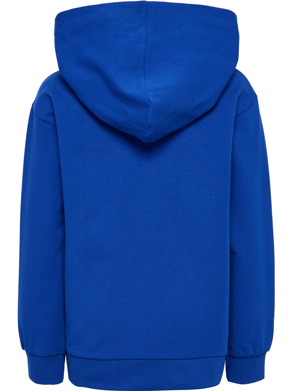 HUMMEL Reg Tukas Hoodie Kind (surf the web)