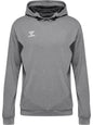 HUMMEL Authentic Pl Hoodie Herren Grau