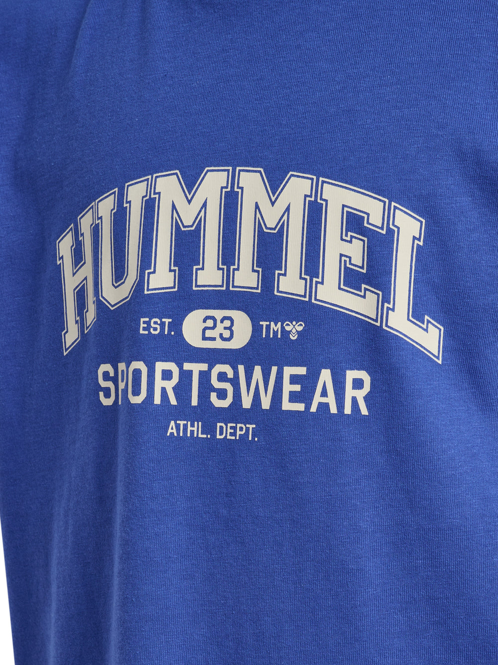 HUMMEL Reg Graphic T-Shirt S/S Kind (dazzling blue)