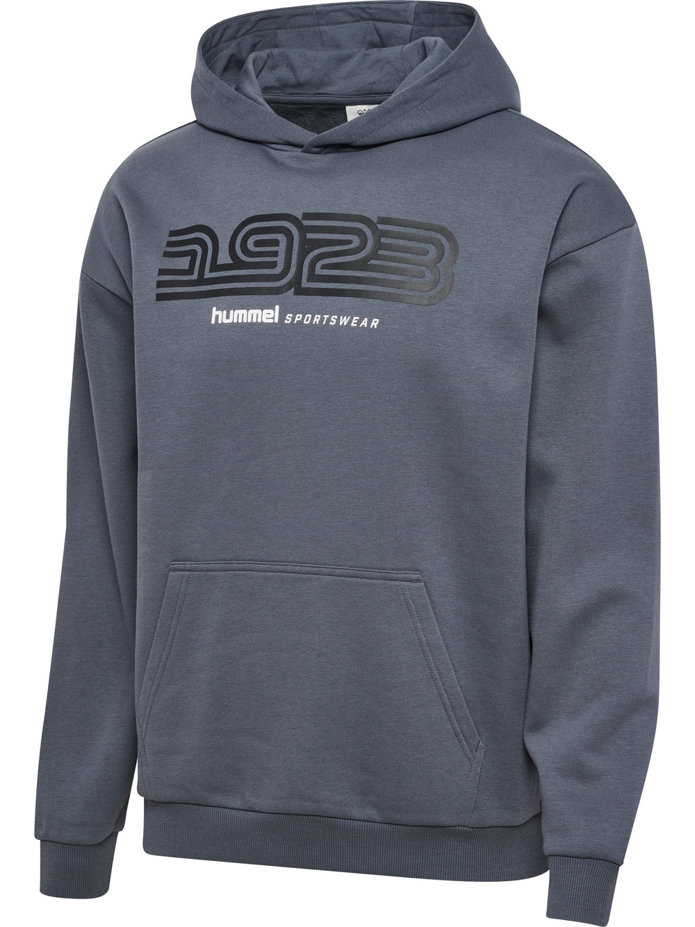 HUMMEL Sportswear Hoodie (turbulence)