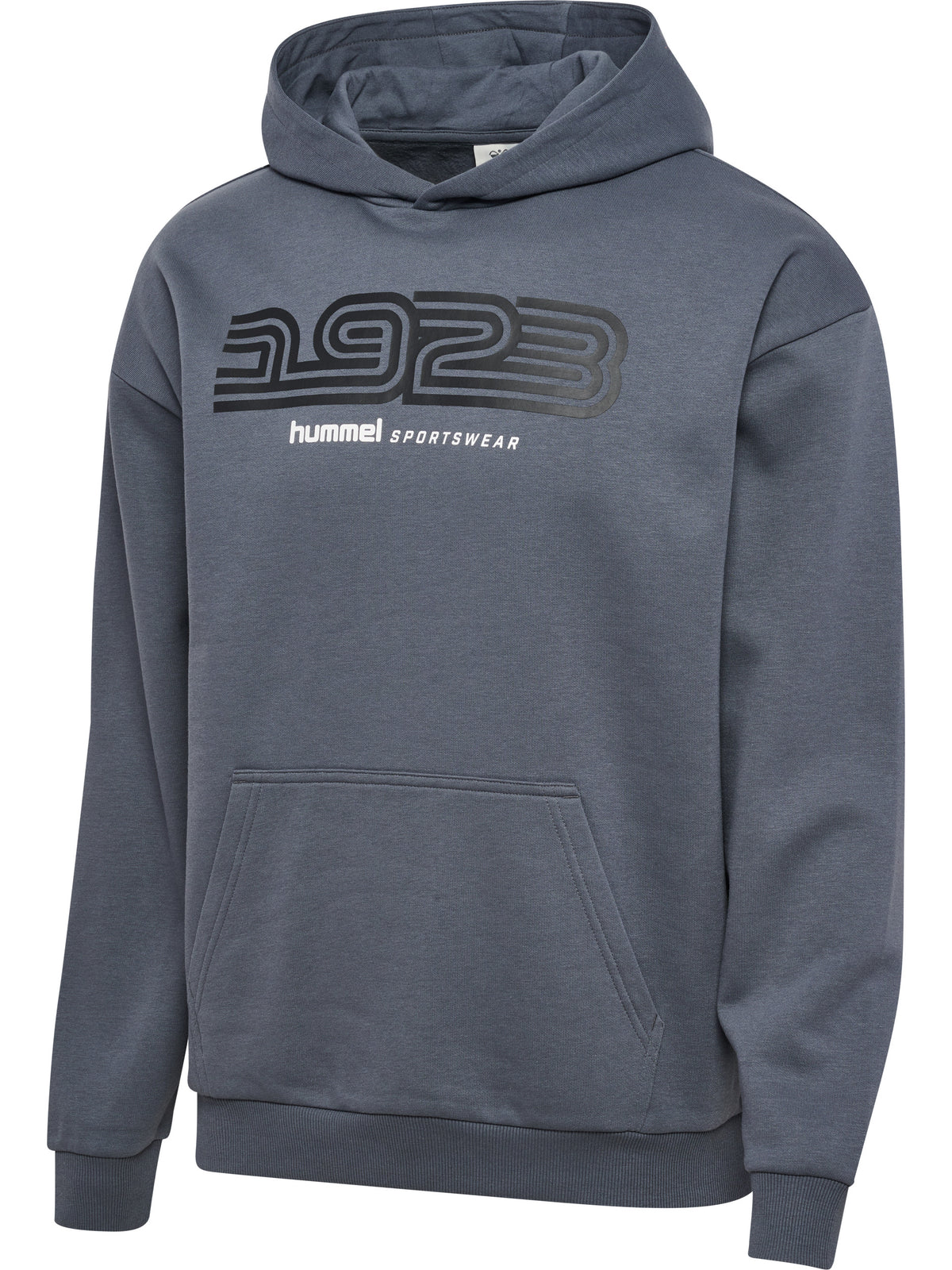 HUMMEL Sportswear Hoodie (turbulence)