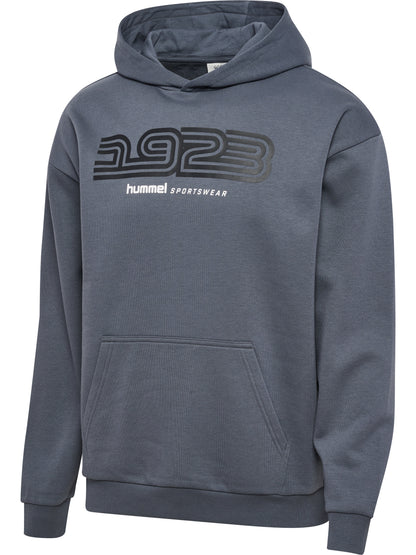 HUMMEL Sportswear Hoodie (turbulence)