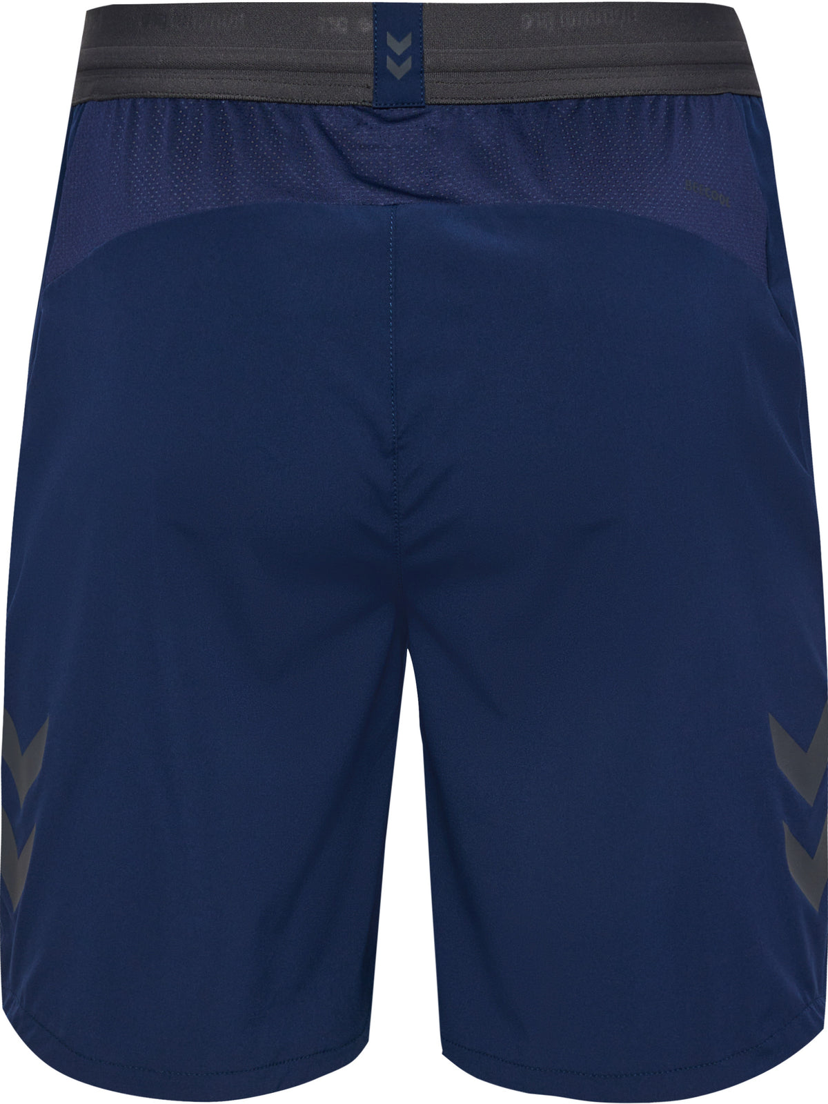 HUMMEL Pro Training Shorts (marine)