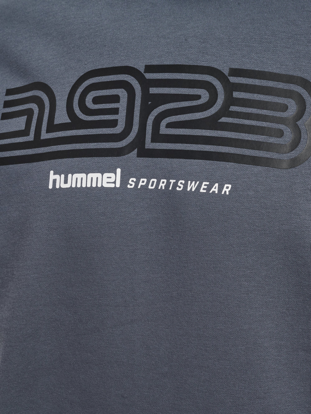 HUMMEL Sportswear Hoodie (turbulence)