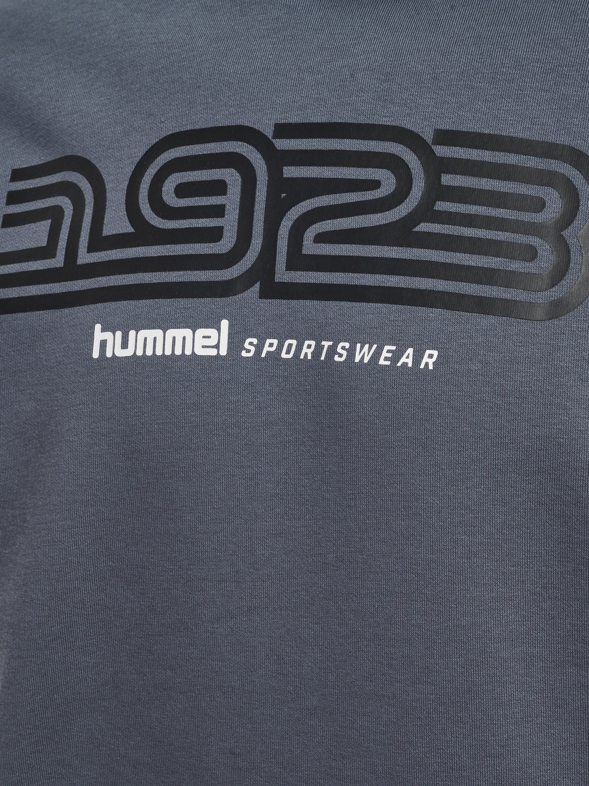 HUMMEL Sportswear Hoodie (turbulence)