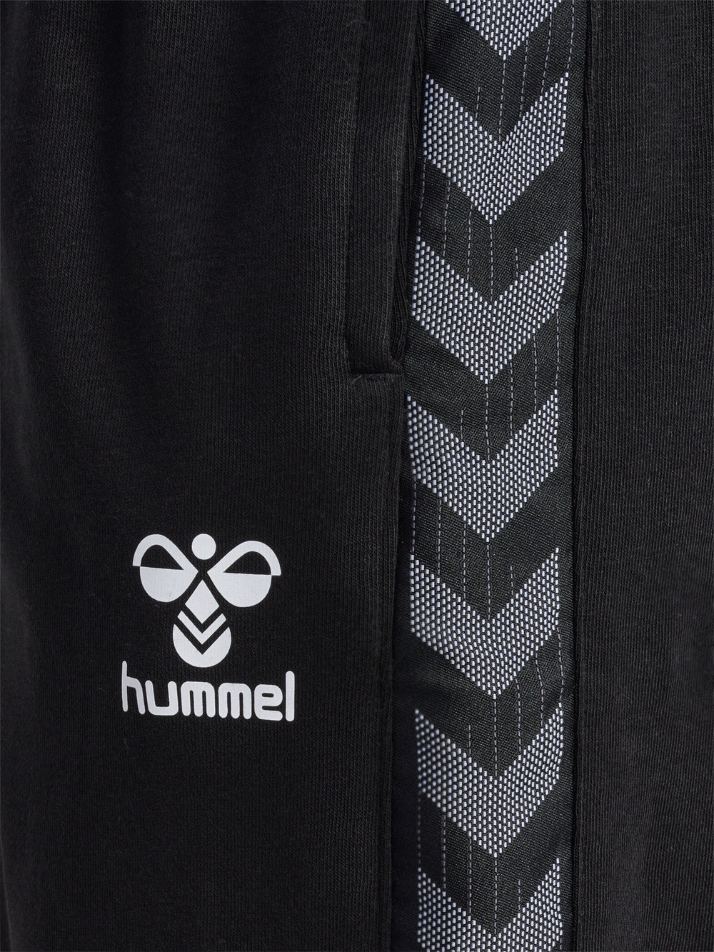 HUMMEL Authentic Co Training Pants (black)
