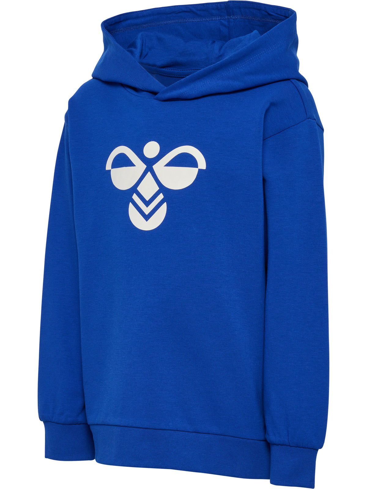HUMMEL Reg Tukas Hoodie Kind (surf the web)