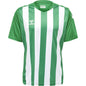 HUMMEL Core Xk Striped Jersey S/S Herren Grün