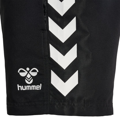 HUMMEL Lgc Frank Board Shorts (black)