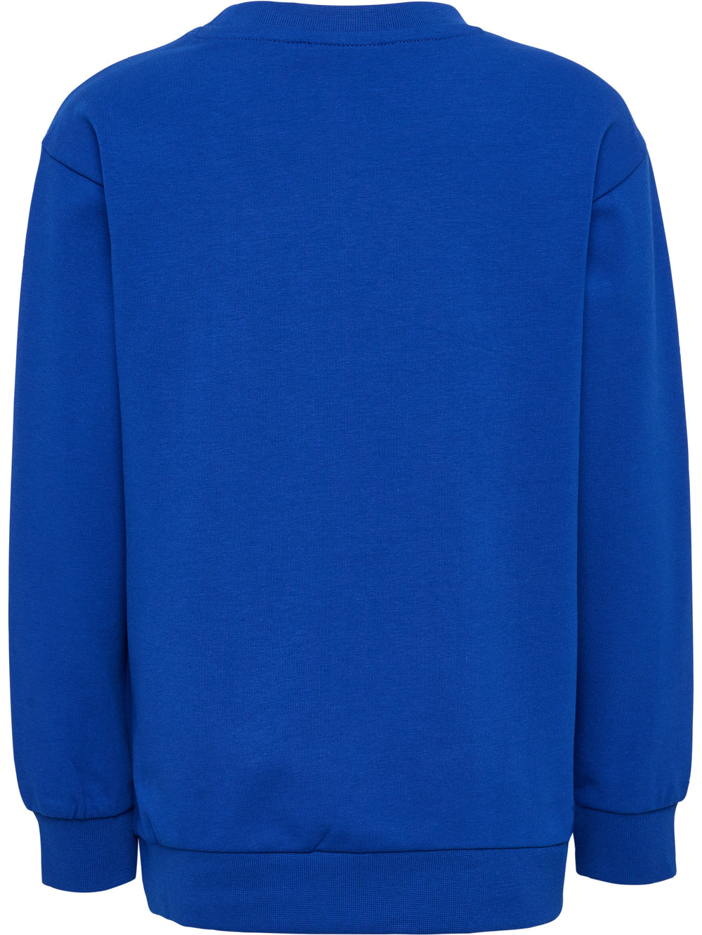 HUMMEL Reg Tukas Sweatshirt Kind (surf the web)