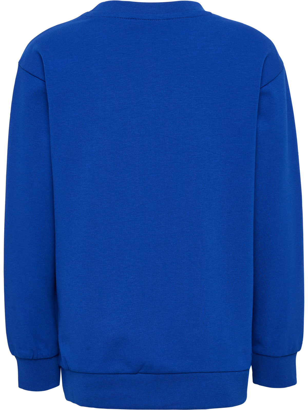 HUMMEL Reg Tukas Sweatshirt Kind (surf the web)