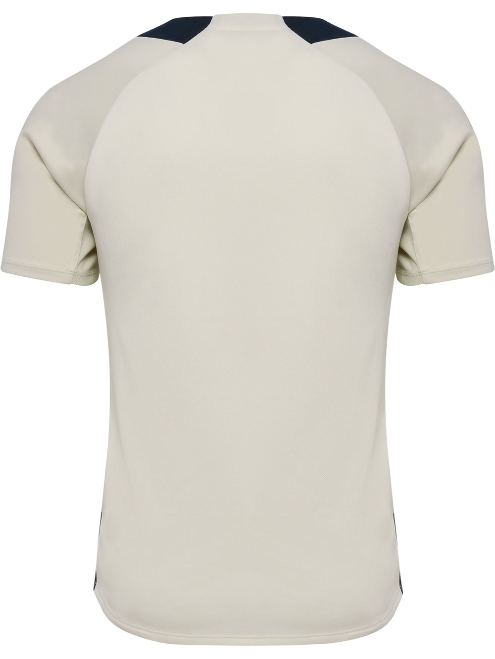 HUMMEL BLAZE27 Pro Training Jersey S/S (cloud dancer/moonbeam)