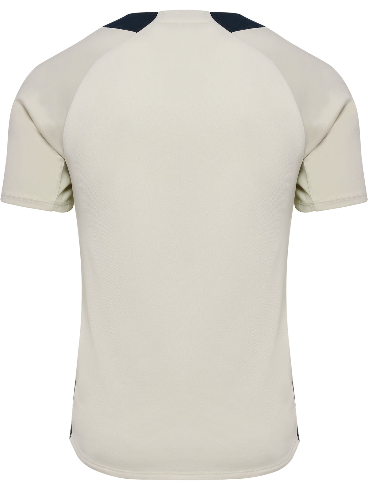 HUMMEL BLAZE27 Pro Training Jersey S/S (cloud dancer/moonbeam)