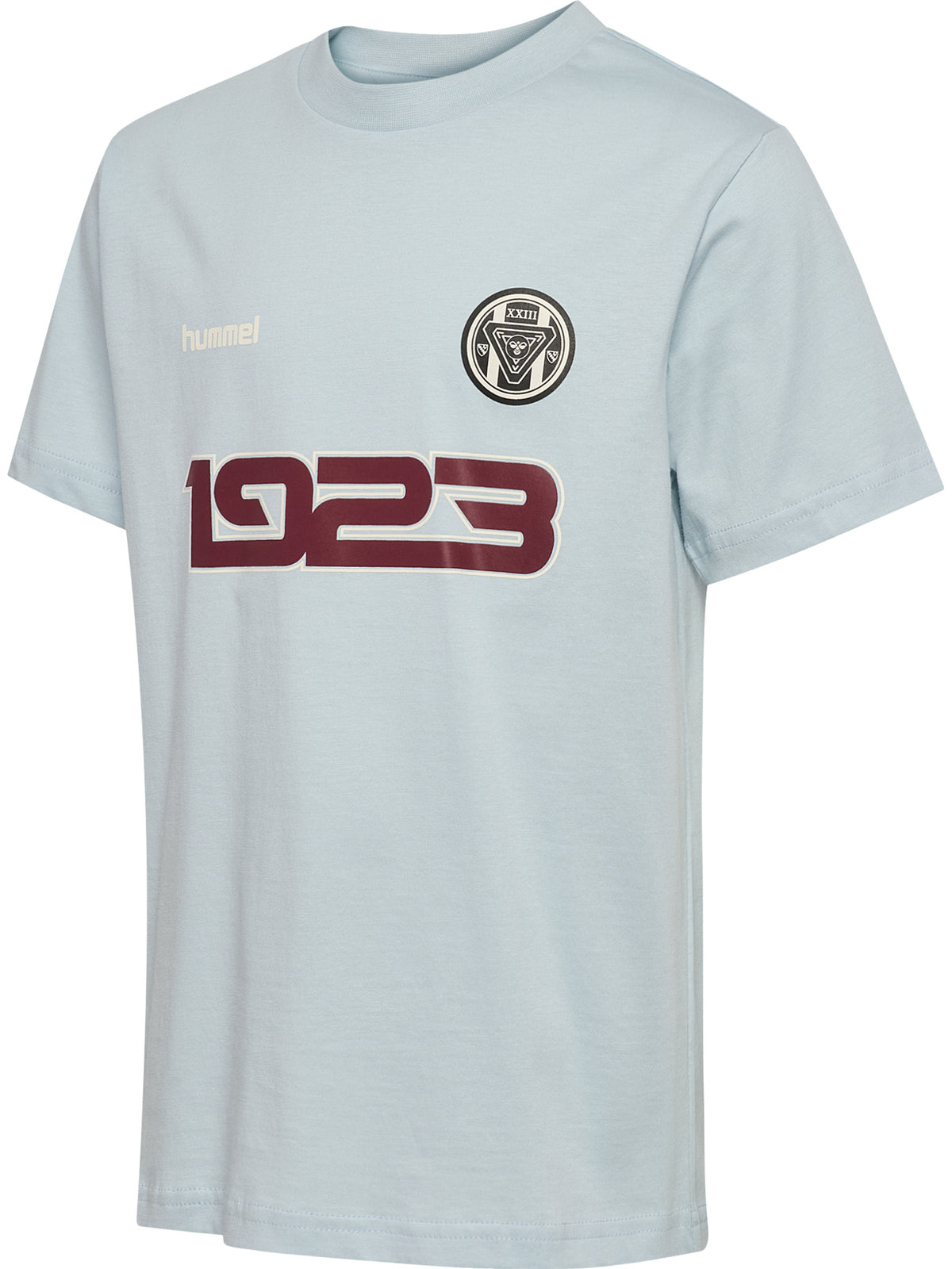 HUMMEL Reg Graphic T-Shirt S/S Kind (skyway)