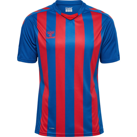 HUMMEL Core Xk Striped Jersey S/S Herren Blau
